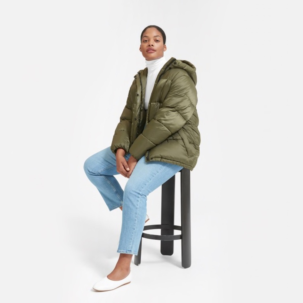 Everlane The ReNew Puffy Puff